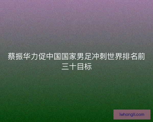 蔡振华力促中国国家男足冲刺世界排名前三十目标 蔡振华力促中国国家男足冲刺世界排名前三十目标